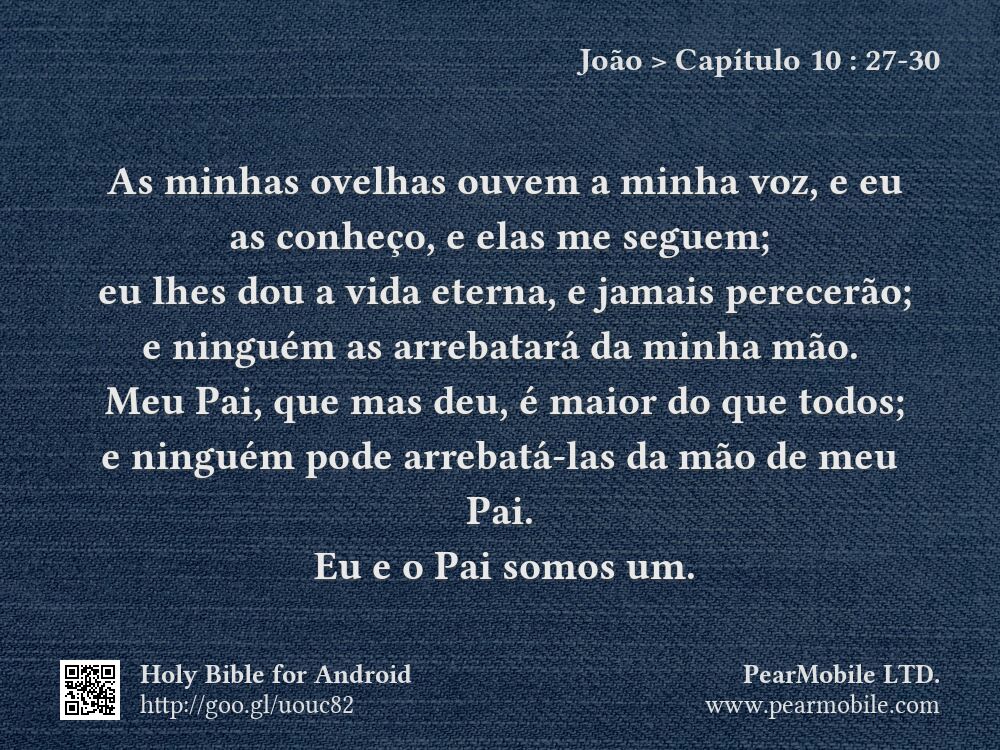 João, Capítulo 10:27-30